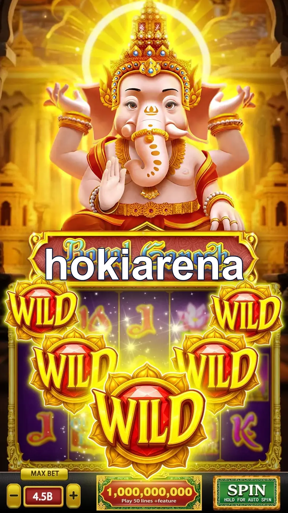 hokiarena APK